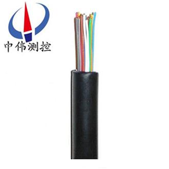 聚(ju)乙(yi)烯(xi)絕(jue)緣(yuan)導引電纜(lan)