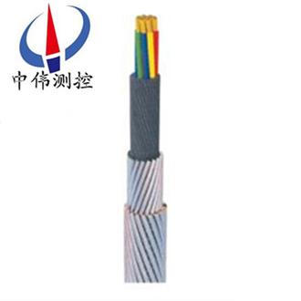 承荷探(tan)測電纜(lan)
