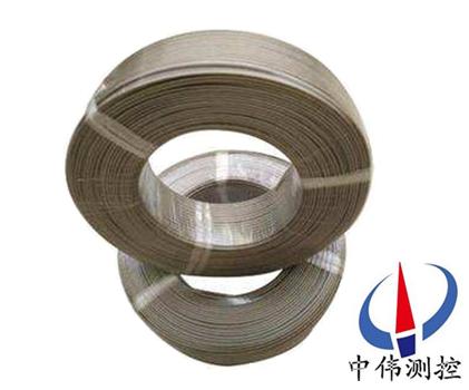 快速微型(xing)熱電偶用補(bu)償導線