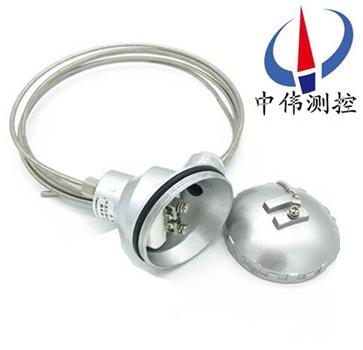 鎧(kai)裝熱電(dian)阻(zu)
