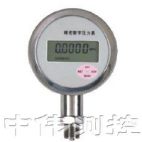 精(jing)密數(shu)字(zi)壓(ya)力(li)錶
