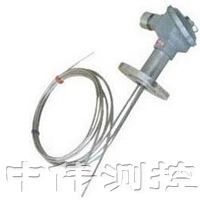 多點防(fang)爆(bao)熱(re)電(dian)偶(ou)
